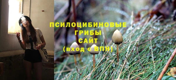 PSILOCYBIN Верхний Тагил
