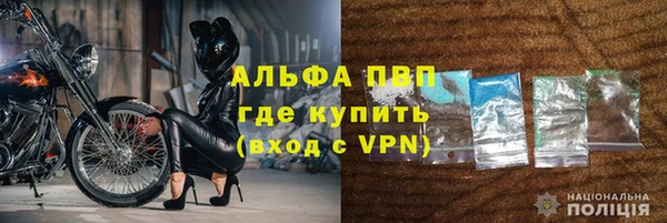 PSILOCYBIN Верхний Тагил
