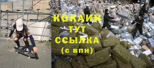 PSILOCYBIN Верхний Тагил