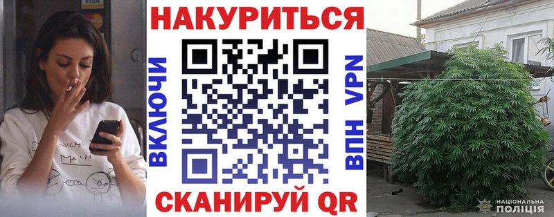 Канабис сатива  Инта 